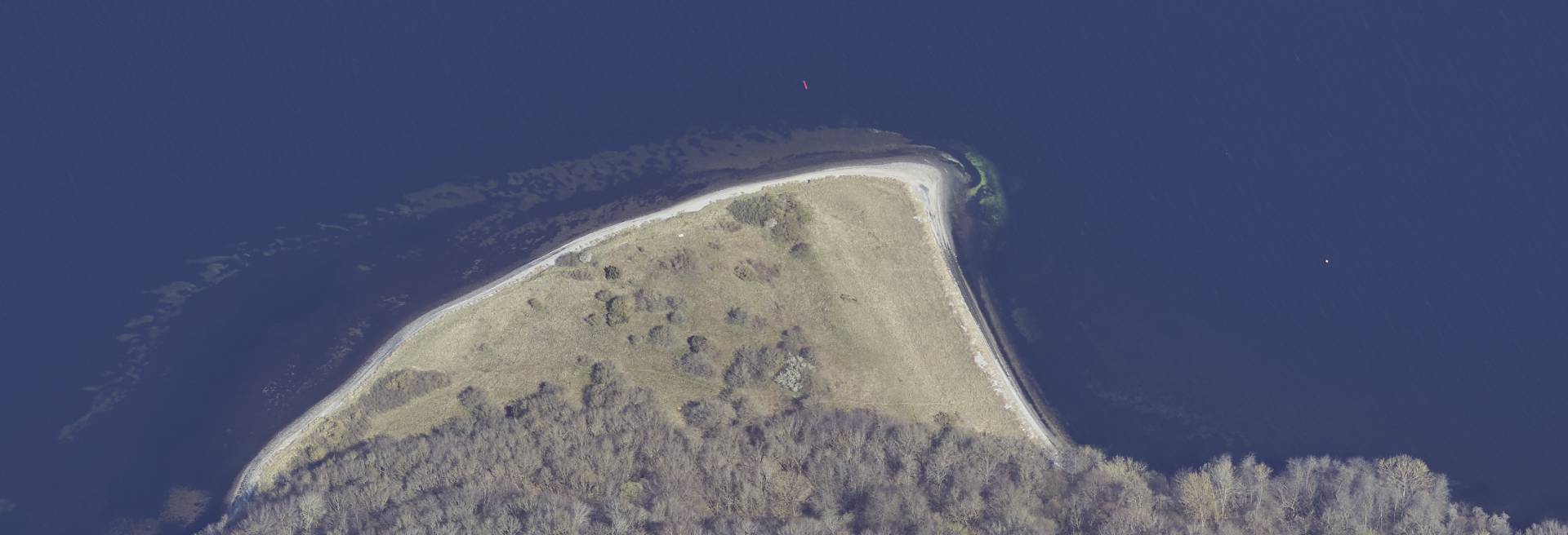 Odde der stikker ud i Mariager Fjord — typisk struktur som tiltrækker patruljerende havørred