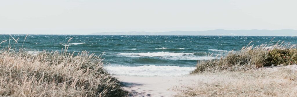 fiskeri på strand